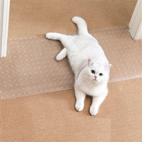 Uross Carpet Protector for Pets - Cat Carpet Protector for Doorway ...