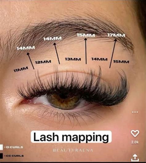 Volume cat eye lash map – Artofit