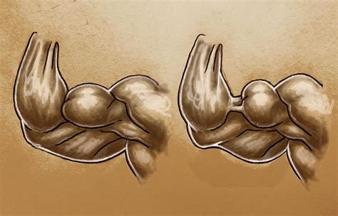 Long Bicep vs Short Bicep: What's the Difference? - PumpX