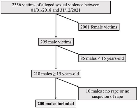 Male Victims of Rape: An Observational Study over Four Years in Paris ...