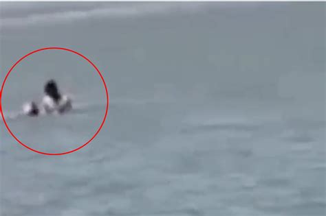 Couple filmed having sex in the ocean get slapped with fine