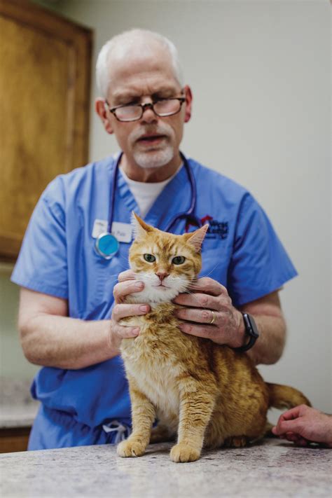 All Night Long: West Rome Animal Clinic - Read V3