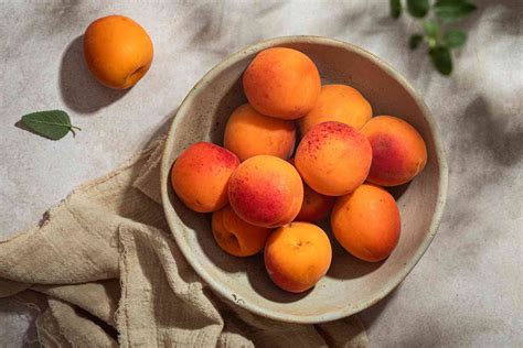 20 Spider Monkey Fun Facts - Facts.net