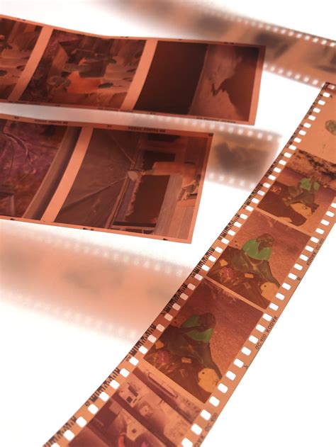 Film Services — Latitude Chicago