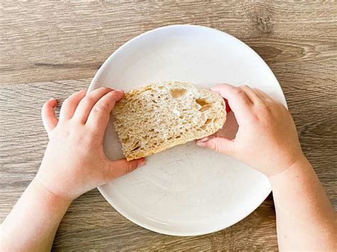 Can Babies Have Sourdough Bread (+ Best Bread for Babies!) - Stretch and Folds
