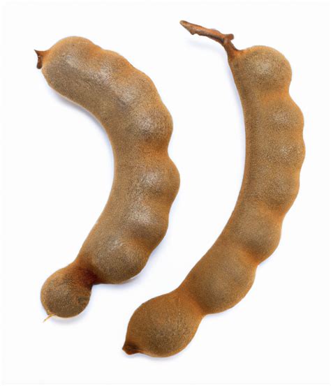 Tamarind Images