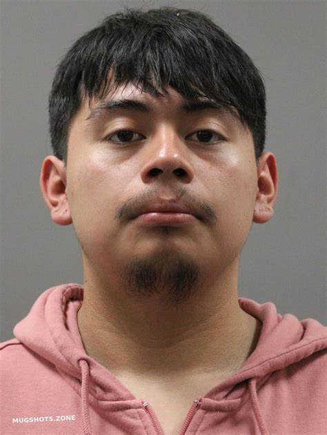 EDUARDO SANTIAGO MATEO TOMAS 09/05/2025 - Limestone County Mugshots Zone