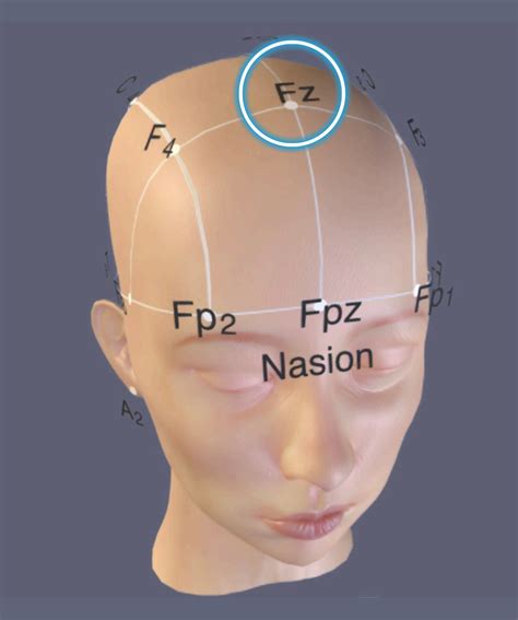 Locations | Capital District Neurofeedback Clifton Park
