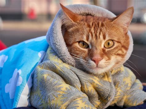 Lakeview Funeral Home | Fairmont MN