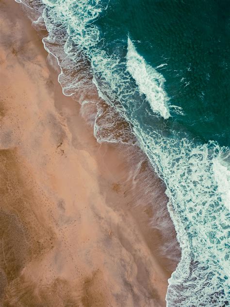 Beach+Boners+Men Photos, Download The BEST Free Beach+Boners+Men Stock ...