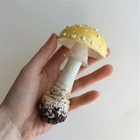 So happy with this Amanita muscaria var. guessowii I made. Polymer clay ...