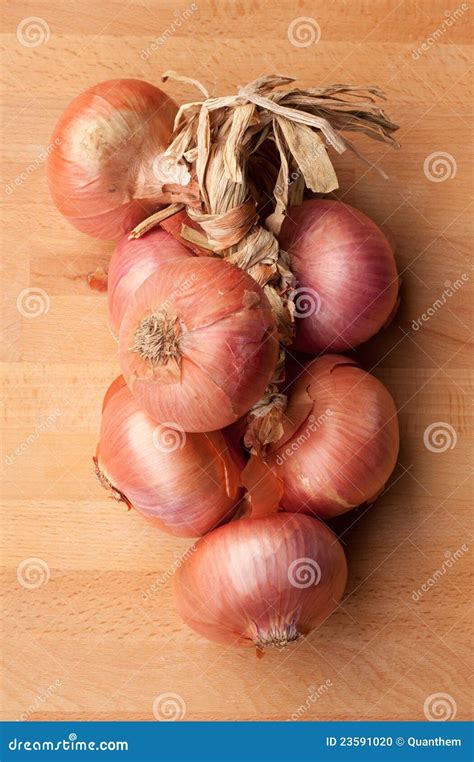 String of onions stock photo. Image of rustic, string - 23591020