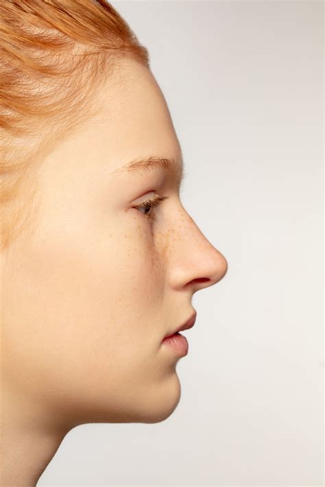 Nose Cartilage