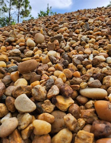 Brown River Rock Bag – Garden Sensation