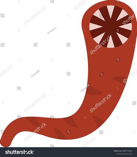 96 Leech Mouth Images, Stock Photos & Vectors | Shutterstock