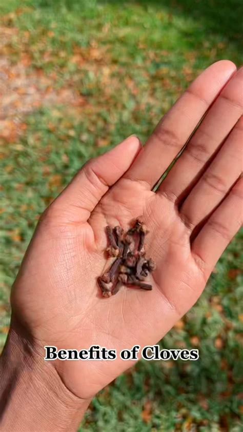 Cloves: 4 Major Side Effects + Dosage in 2025 | Cloves health benefits, Health facts food ...