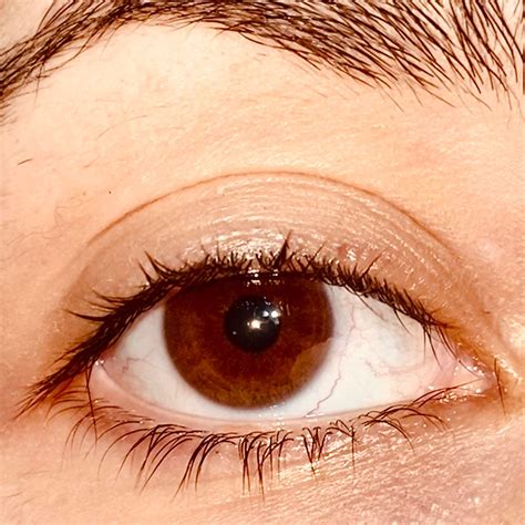 Reddish brown | Occhi