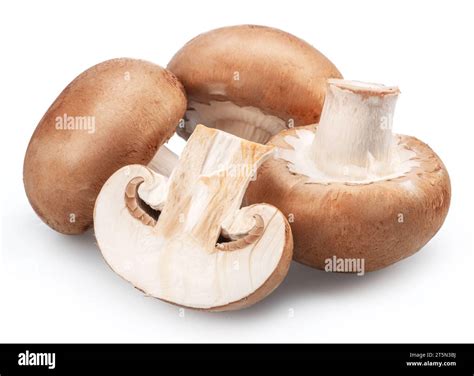 Ripe royal champignon mushrooms with slices of champignons on a white ...