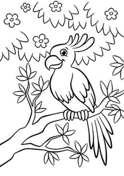 Coloring Pages Of Birds