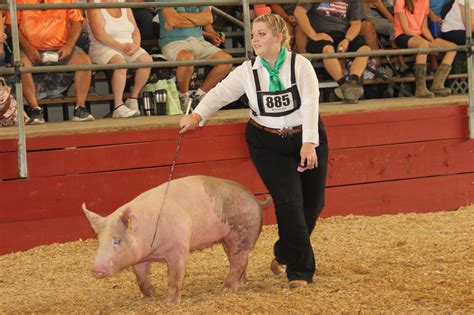 Berkeley County Youth Fair – Berkeley County, WV