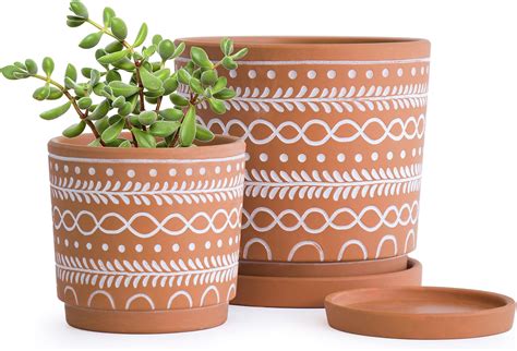 Amazon.com : D'vine Dev Terracotta Pots for Plants, 5.3 Inch 6.5 Inch 7 ...