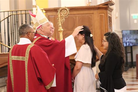 Adults from around diocese confirmed at cathedral | East Tennessee Catholic
