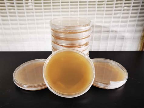 Pre-poured Agar Petri Dishes - Pre-Poured agar for mycology