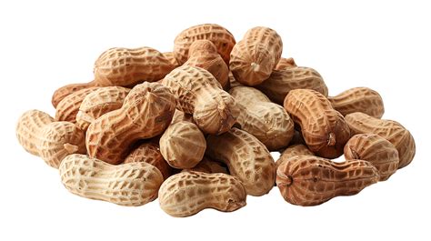 Fresh peanuts on a transparent background 47064545 PNG