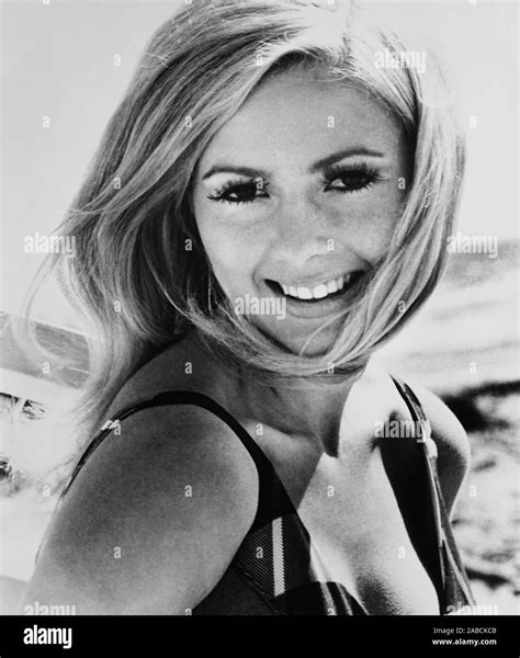 THE GAY DECEIVERS, Brooke Bundy, 1969 Stock Photo - Alamy