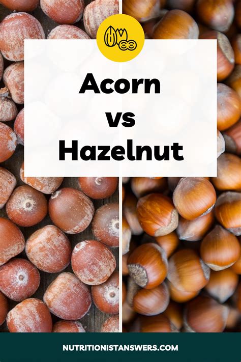 Pecans vs Almonds: What’s the Difference? | Nutritionist Answers