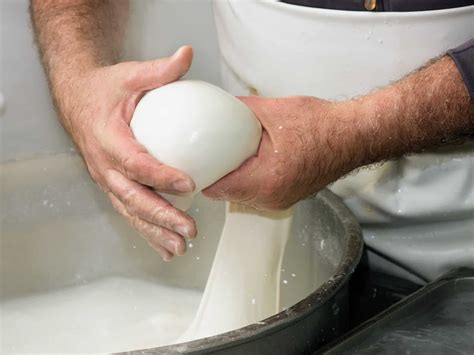 What is Mozzarella di Bufala (Buffalo Mozzarella)? – Solving the Great ...