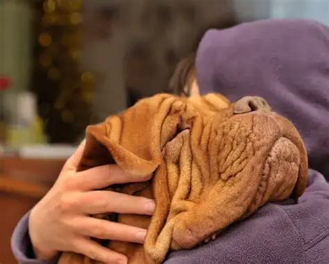 Overview | Oldham, Roberts & Powell Funeral Home