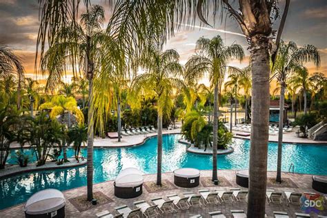 Swingers Lifestyle Info Orlando, Florida - SDC.com