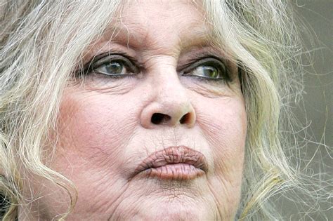 Brigitte Bardot, 1960s Sultry Sex Symbol Turned Militant Animal Rights ...