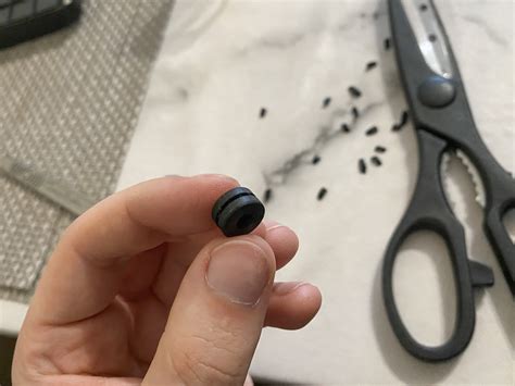 High Pitch Noise From Pipes : r/Plumbing