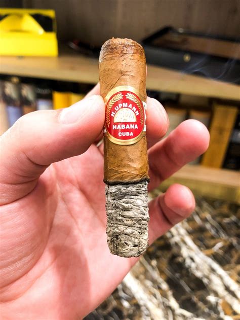 Top 10 Short Cuban Cigars to Have in Your Humidor | Cuban cigars ...
