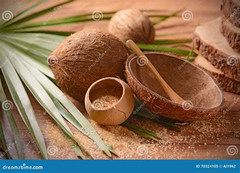 Coconut palm sugar stock image. Image of nutritious, nutrition - 70324105
