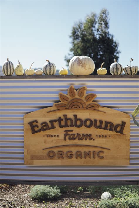 Shakshuka with Greens