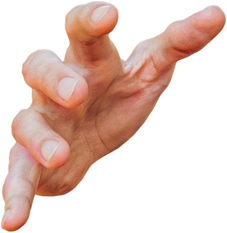 Grab Hand, Touch, Support, Assist, Gesture PNG