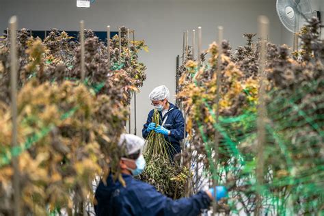 Boob+Tan+Lines Photos, Download The BEST Free Boob+Tan+Lines Stock Photos & HD Images