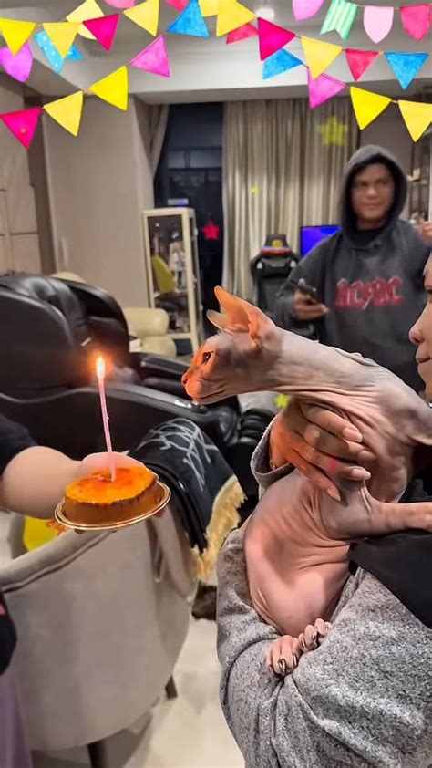 7 Potret Kenangan Keluarga Uya Kuya dengan Kucing Kesayangan | IDN Times