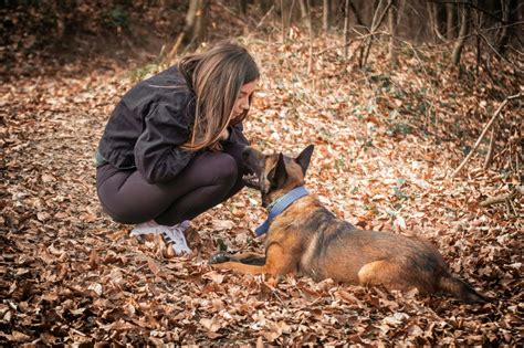 8 Important Park Rules Every Dog Owner Should Know - Doggodigest