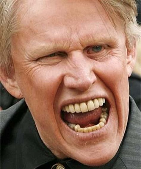 Gary Busey Mugshots
