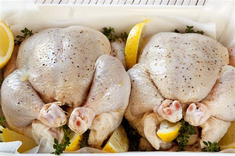 All Natural Fresh Chicken and Turkey | RedBird Farms