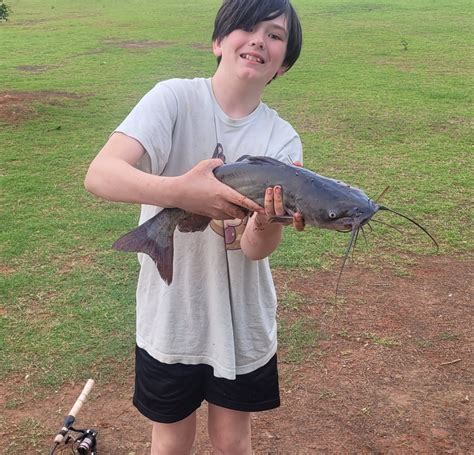 Wild Horse Park | Oklahoma Department of Wildlife Conservation