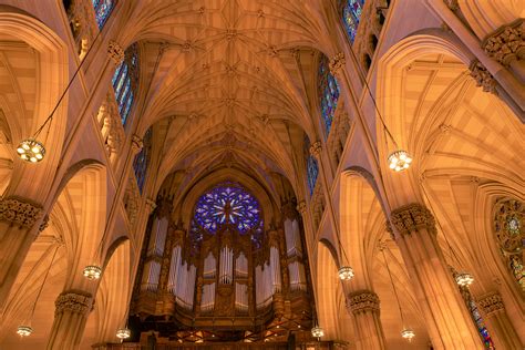 Mom+Big+Boobs Photos, Download The BEST Free Mom+Big+Boobs Stock Photos ...