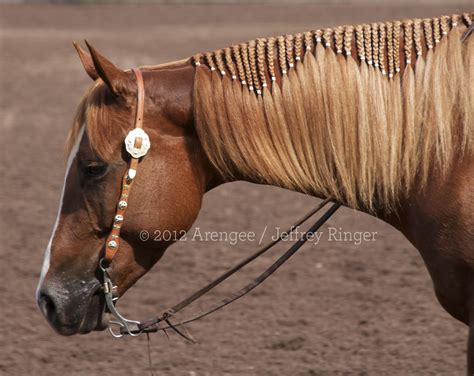 Horses Mane Braided