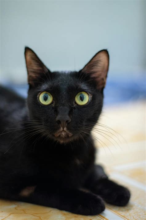 Panties+Down+And+Bend+Over Photos, Download The BEST Free Panties+Down ...