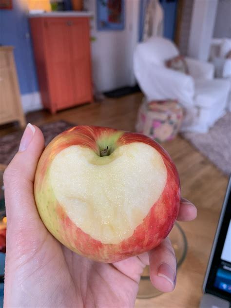 Daily Verse 11.30.20—The Opposite of Dangerous - SheChanges