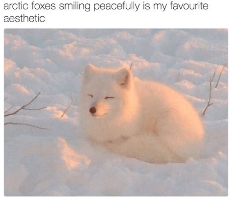 Wholesome aesthetic :-) : r/wholesomememes
